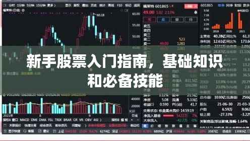 新手股票入门指南,基础知识和必备技能