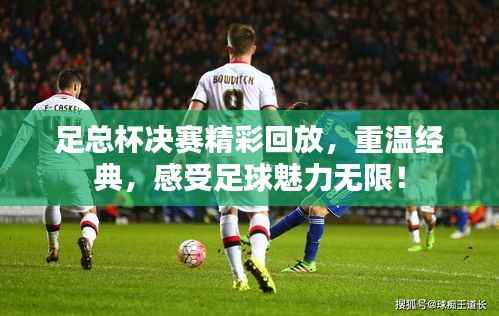 足总杯决赛精彩回放,重温经典,感受足球魅力无限!