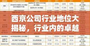 西京公司行业地位大揭秘,行业内的卓越排名