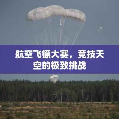 航空飞镖大赛,竞技天空的极致挑战