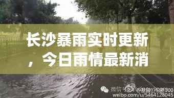 长沙暴雨实时更新,今日雨情最新消息