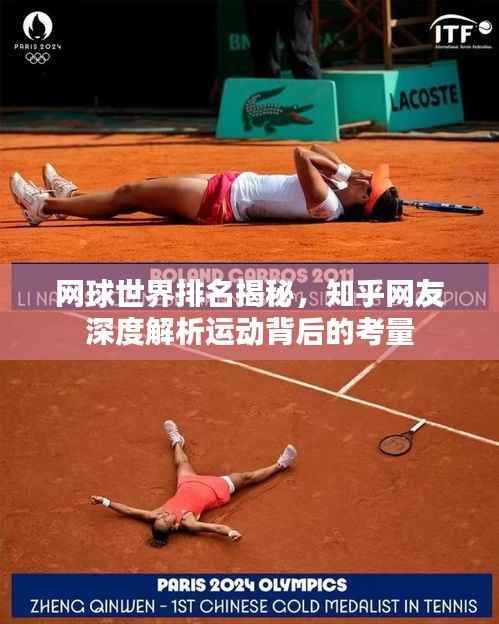 网球世界排名揭秘,知乎网友深度解析运动背后的考量