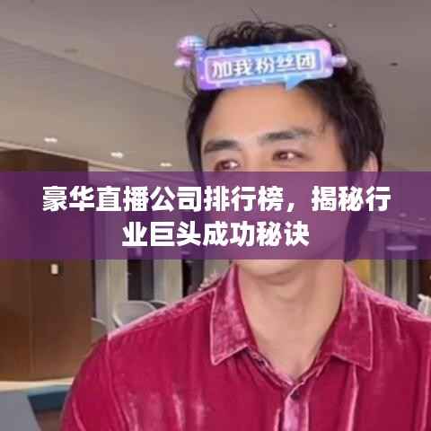 豪华直播公司排行榜,揭秘行业巨头成功秘诀
