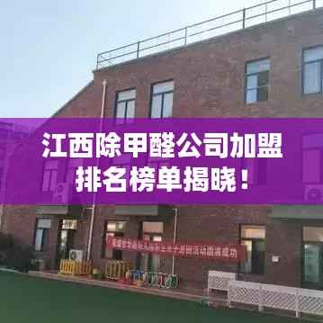 江西除甲醛公司加盟排名榜单揭晓!
