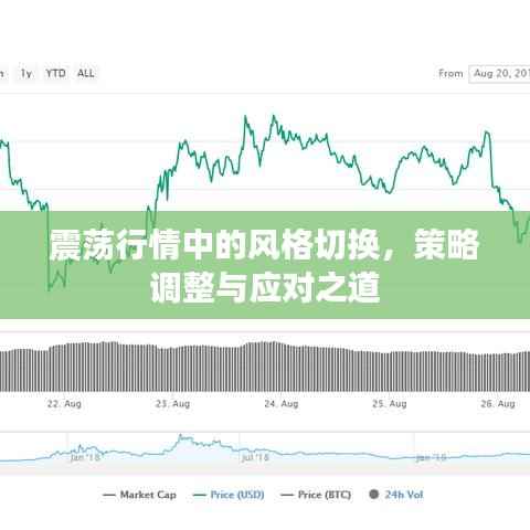 震荡行情中的风格切换,策略调整与应对之道