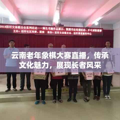 云南老年象棋大赛直播,传承文化魅力,展现长者风采