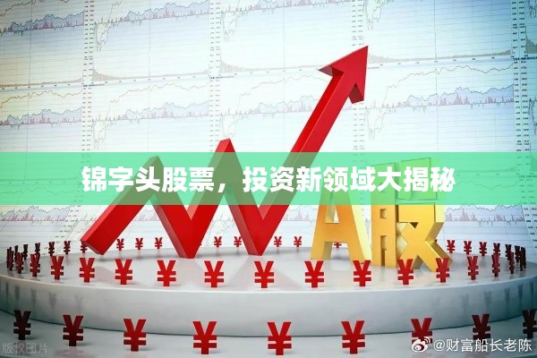 锦字头股票,投资新领域大揭秘