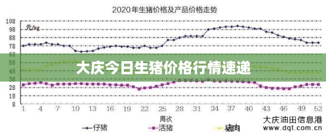 大庆今日生猪价格行情速递