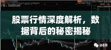 股票行情深度解析,数据背后的秘密揭秘