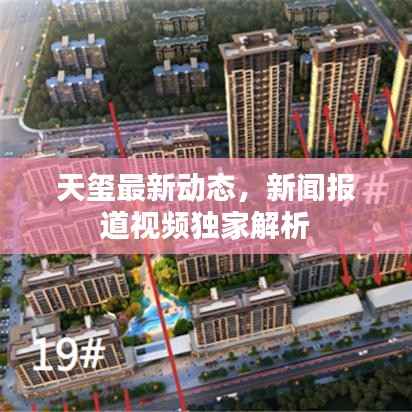 天玺最新动态,新闻报道视频独家解析