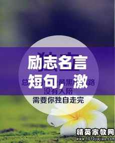 励志名言短句,激发无限潜能的力量