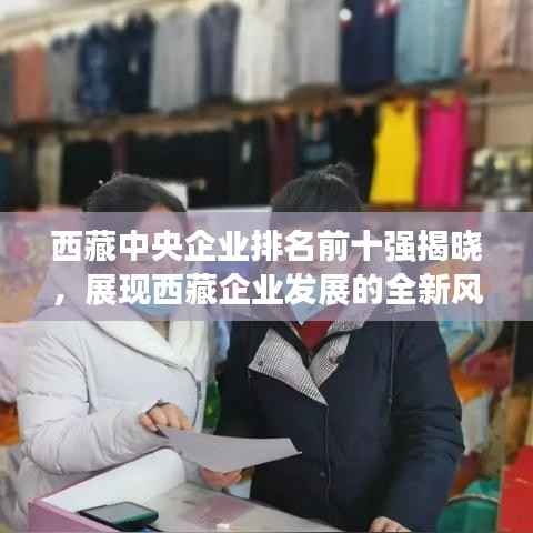 西藏中央企业排名前十强揭晓,展现西藏企业发展的全新风采