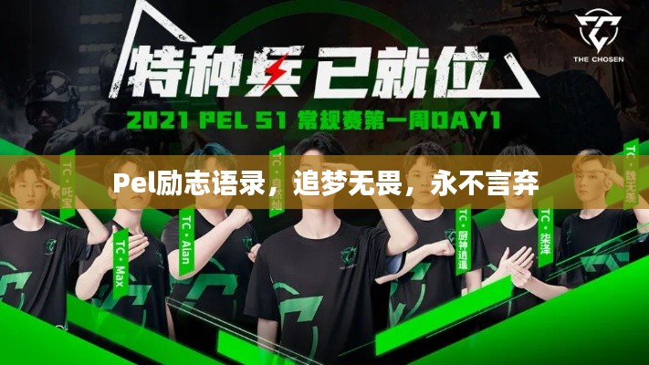 Pel励志语录,追梦无畏,永不言弃