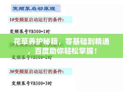 花草养护秘籍,零基础到精通,百度助你轻松掌握!