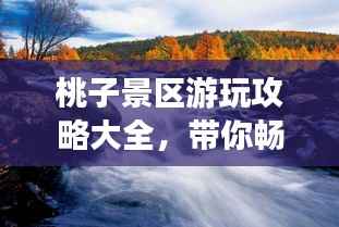 桃子景区游玩攻略大全,带你畅游仙境般的美景!