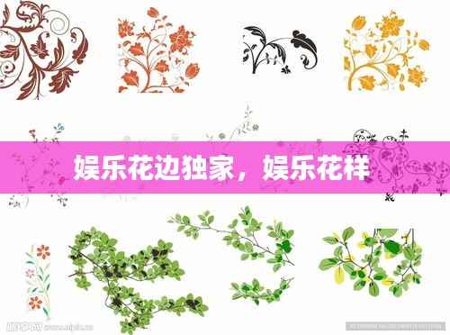 娱乐花边独家,娱乐花样