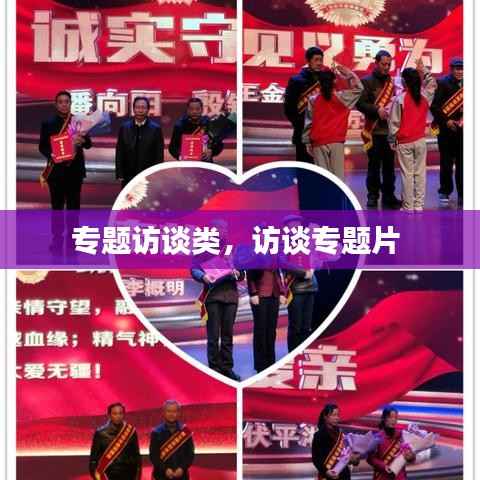 专题访谈类,访谈专题片