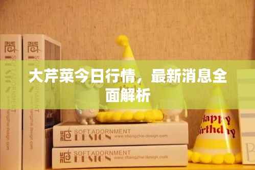 大芹菜今日行情,最新消息全面解析