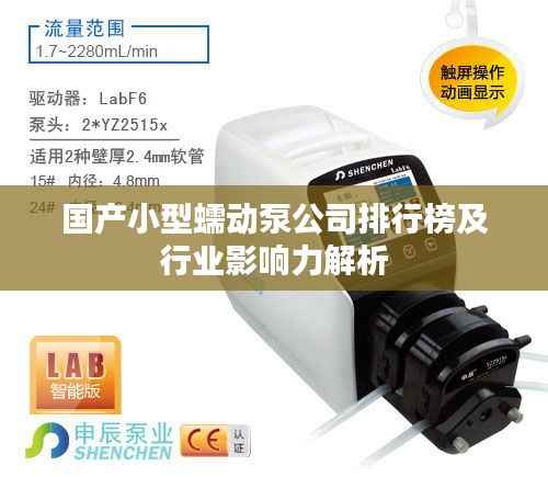 国产小型蠕动泵公司排行榜及行业影响力解析