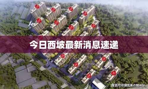 今日西坡最新消息速递