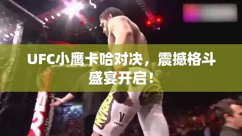 UFC小鹰卡哈对决,震撼格斗盛宴开启!