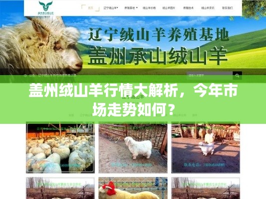 盖州绒山羊行情大解析,今年市场走势如何?