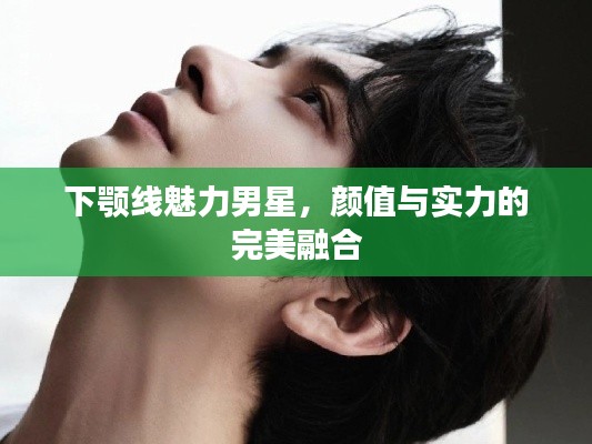 下颚线魅力男星,颜值与实力的完美融合