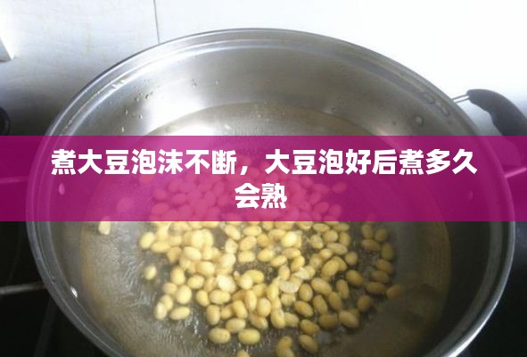 煮大豆泡沫不断,大豆泡好后煮多久会熟