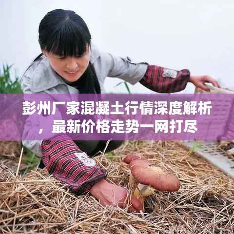 六鹢退飞 第2页