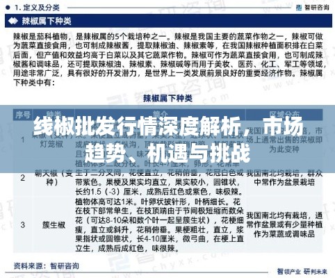 线椒批发行情深度解析，市场趋势、机遇与挑战