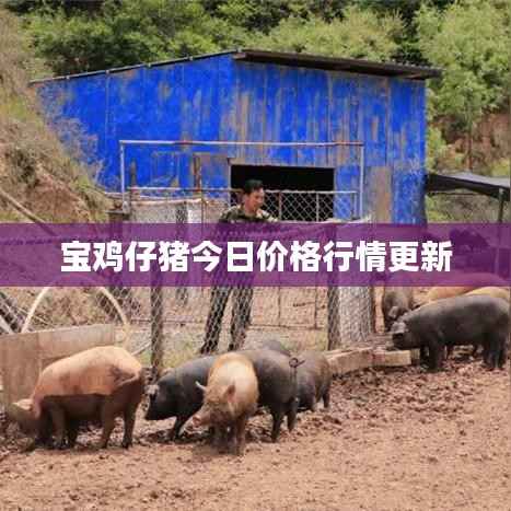 坌鸟先飞 第2页