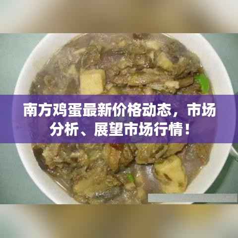 南方鸡蛋最新价格动态,市场分析、展望市场行情!