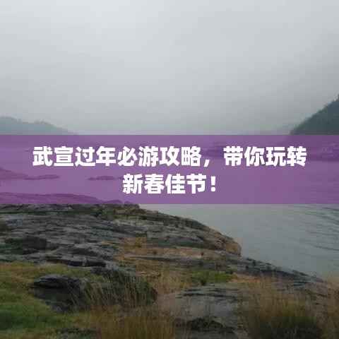 飞鸟依人 第2页