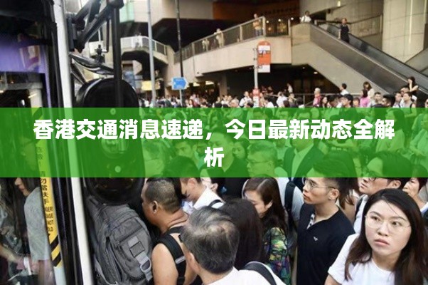 香港交通消息速递,今日最新动态全解析