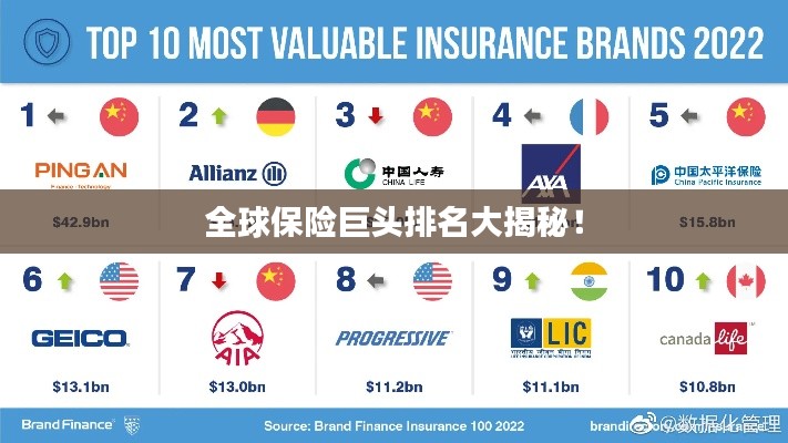 全球保险巨头排名大揭秘!