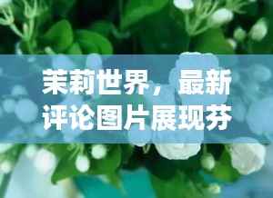 茉莉世界,最新评论图片展现芬芳魅力
