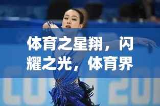 体育之星翔,闪耀之光,体育界的璀璨星辰
