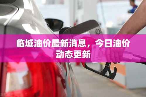 临城油价最新消息,今日油价动态更新